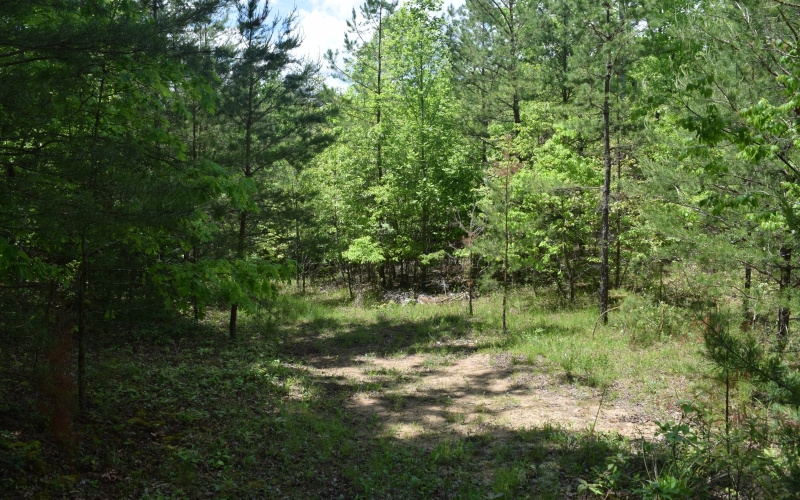 3270 Maple Grove Road Morganton, GA 30560 - Photo 11 of 17 Additional View