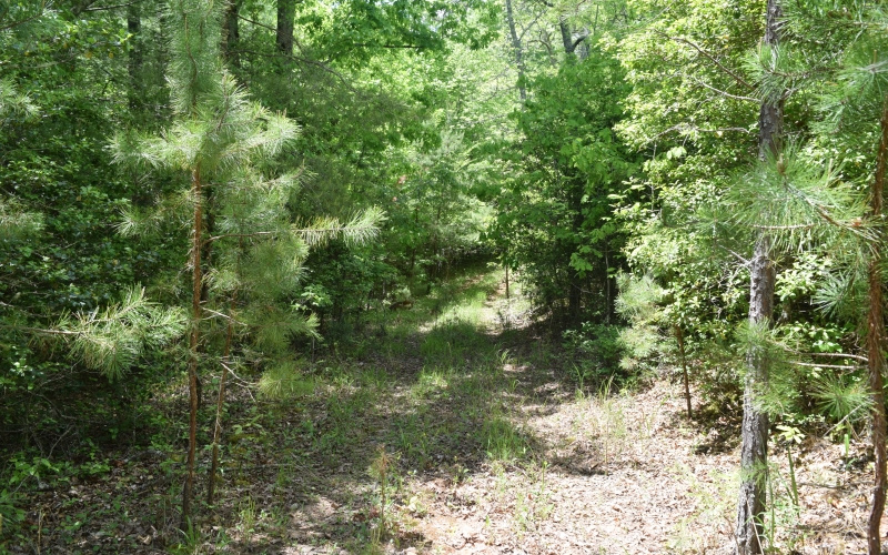 3270 Maple Grove Road Morganton, GA 30560 - Photo 12 of 17 Additional View