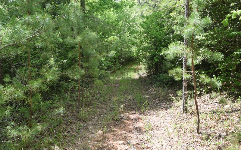 3270 Maple Grove Road Morganton, GA 30560 - Photo 13 of 17 Additional View