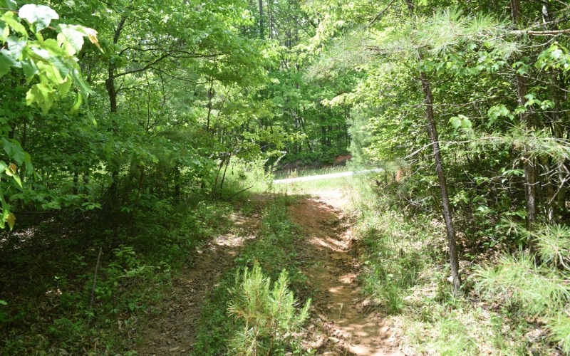 3270 Maple Grove Road Morganton, GA 30560 - Photo 14 of 17 Additional View