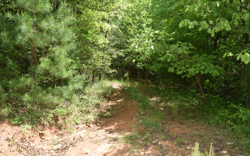 3270 Maple Grove Road Morganton, GA 30560 - Photo 15 of 17 Additional View