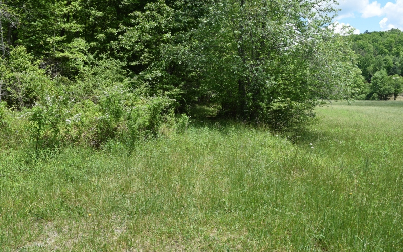 3270 Maple Grove Road Morganton, GA 30560 - Photo 5 of 17 Additional View