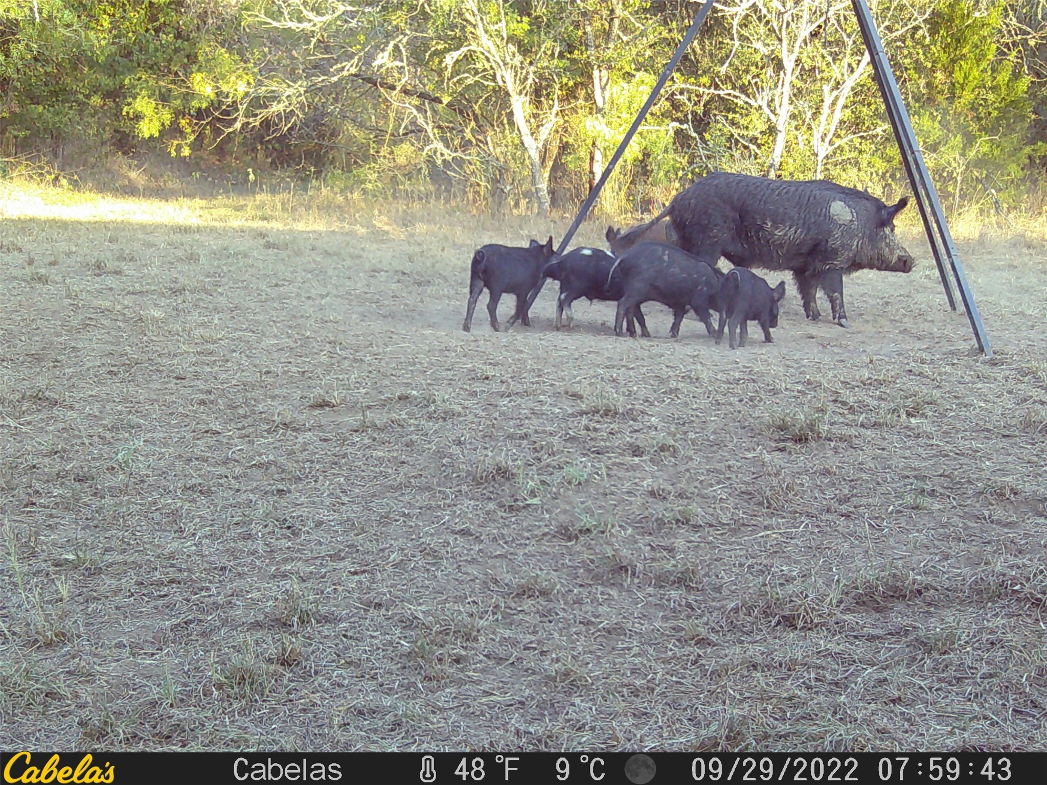 6289 Maynard Hallmark Road Flatonia, TX 78941 - Photo 19 of 19