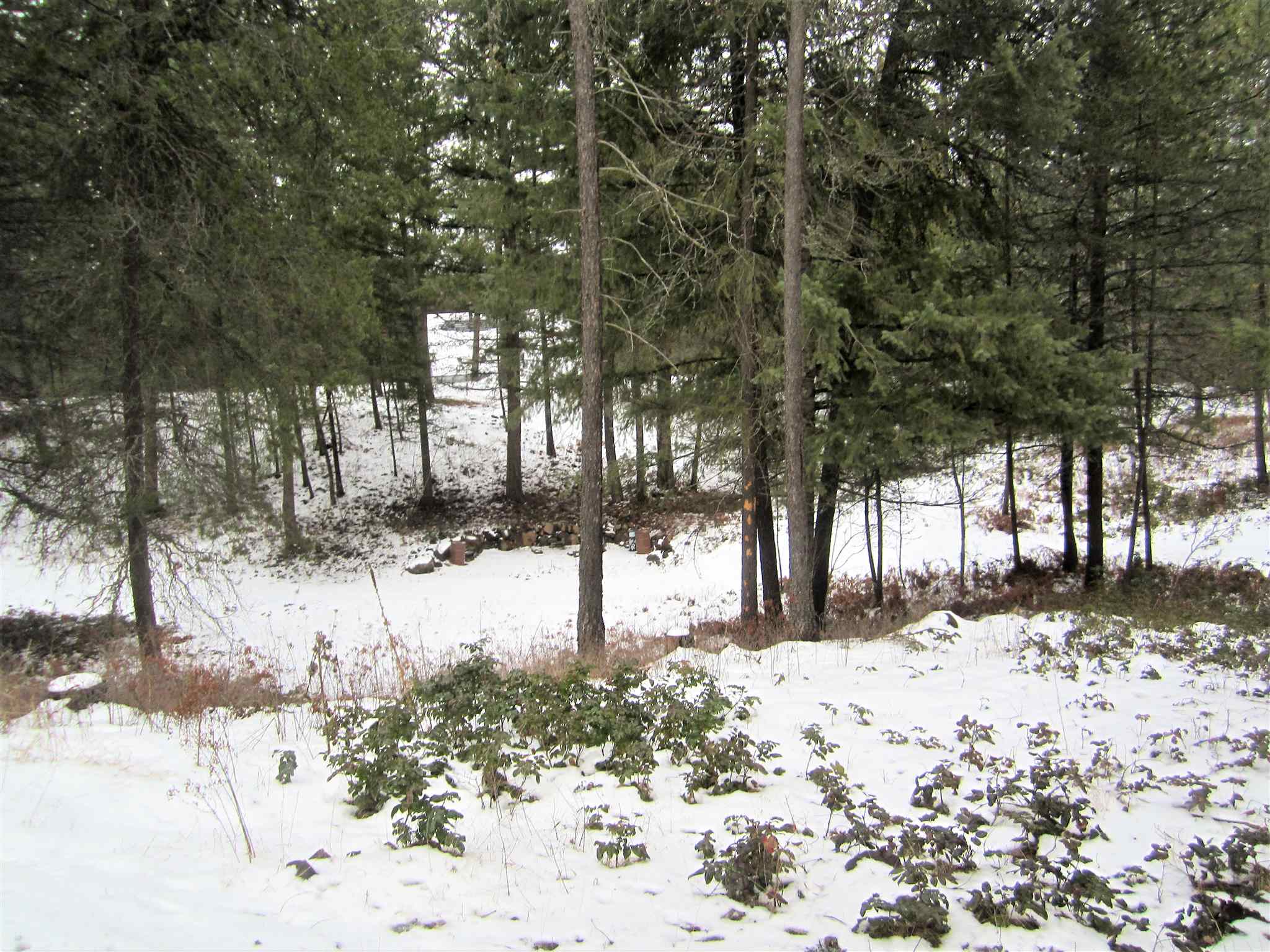 22808 North Jermain Lane Colbert, WA 99005 - Photo 41 of 48