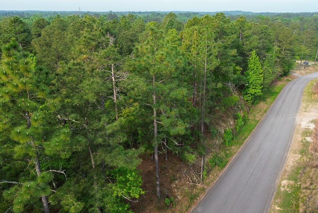 0 Mt Zion Road, Unit 5 Trenton, SC 29847 - Photo 21 of 26