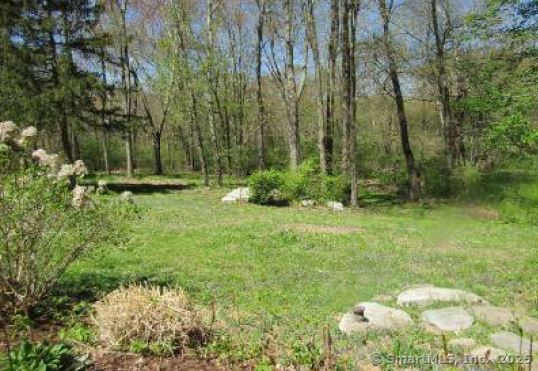 34 Transylvania Road Woodbury, CT 06798 - Photo 3 of 17 a backyard of a house with lots of green space