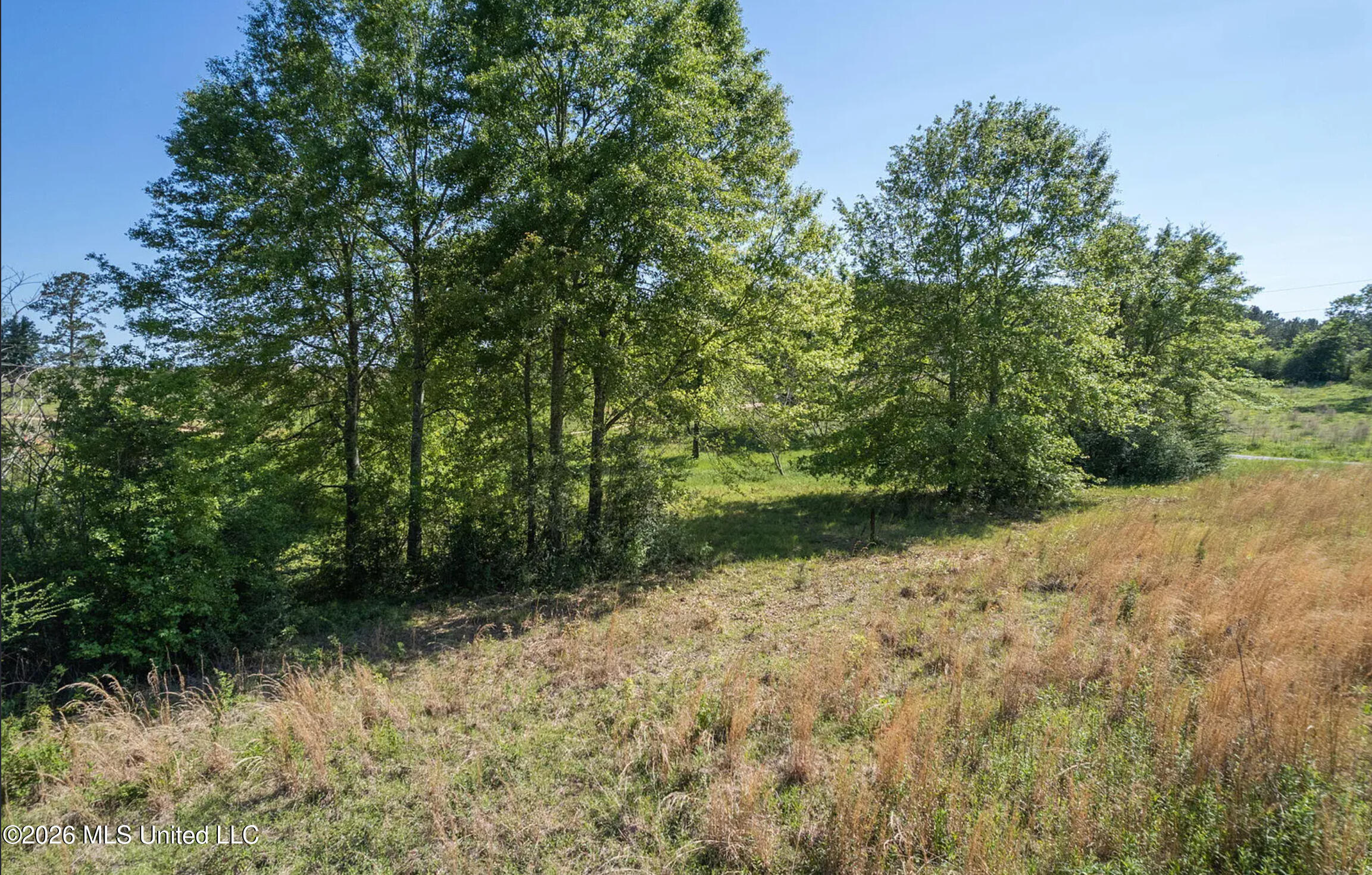 Pine View Road Collins, MS 39428 - Photo 6 of 10 2026-09-14_08-53-33