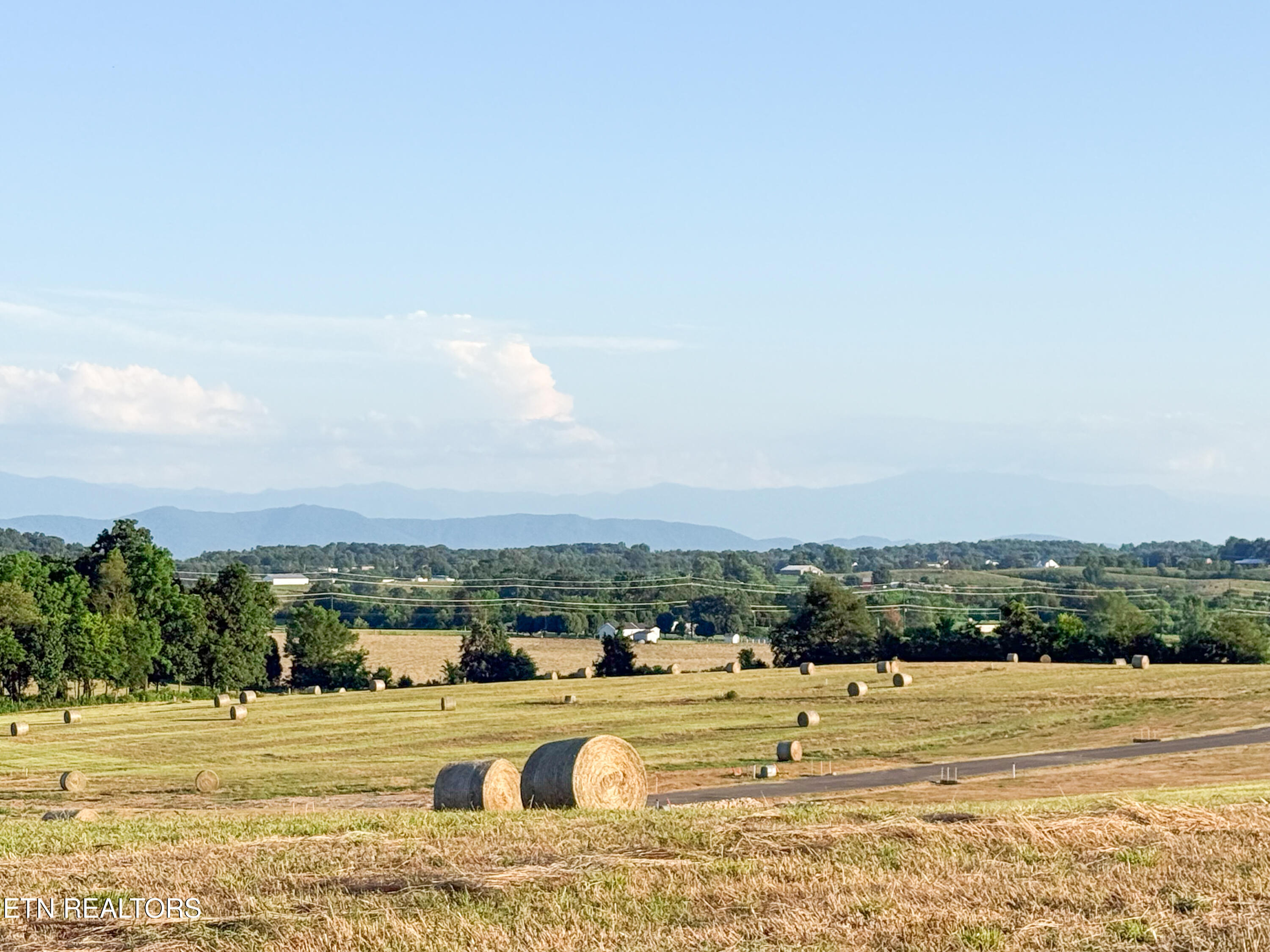 Photo Jul 03 2025, 7 44 13 PM