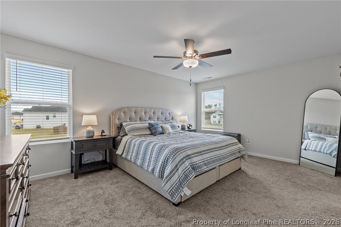 313 Graystoke Lane Raeford, NC 28376 - Photo 24 of 49