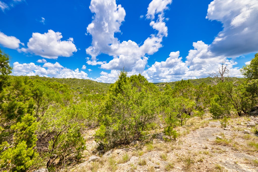 1702 Pinon Loop East Camp Wood, TX 78833 - Photo 19 of 19