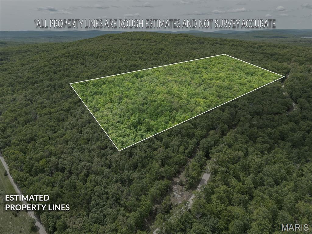 1 Buck Mountain Road Doe Run, MO 63637 - Photo 1 of 27