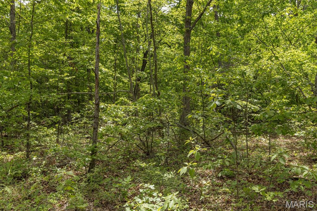 1 Buck Mountain Road Doe Run, MO 63637 - Photo 11 of 27