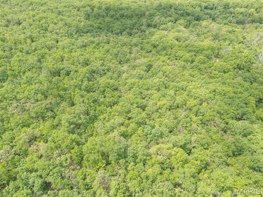 1 Buck Mountain Road Doe Run, MO 63637 - Photo 12 of 27