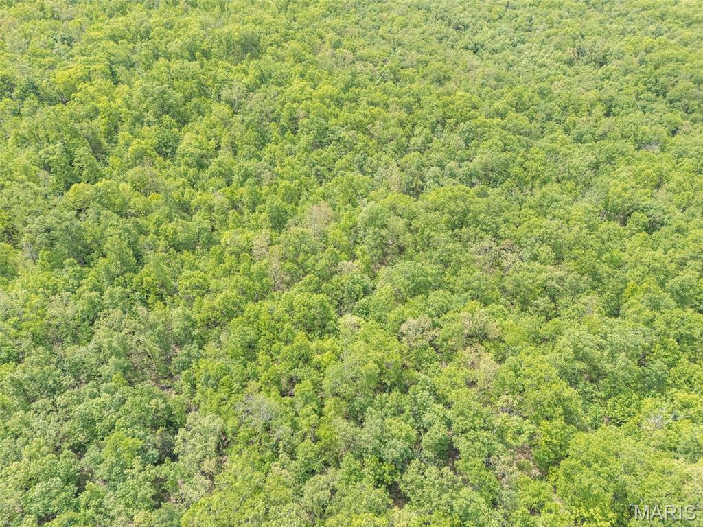 1 Buck Mountain Road Doe Run, MO 63637 - Photo 13 of 27