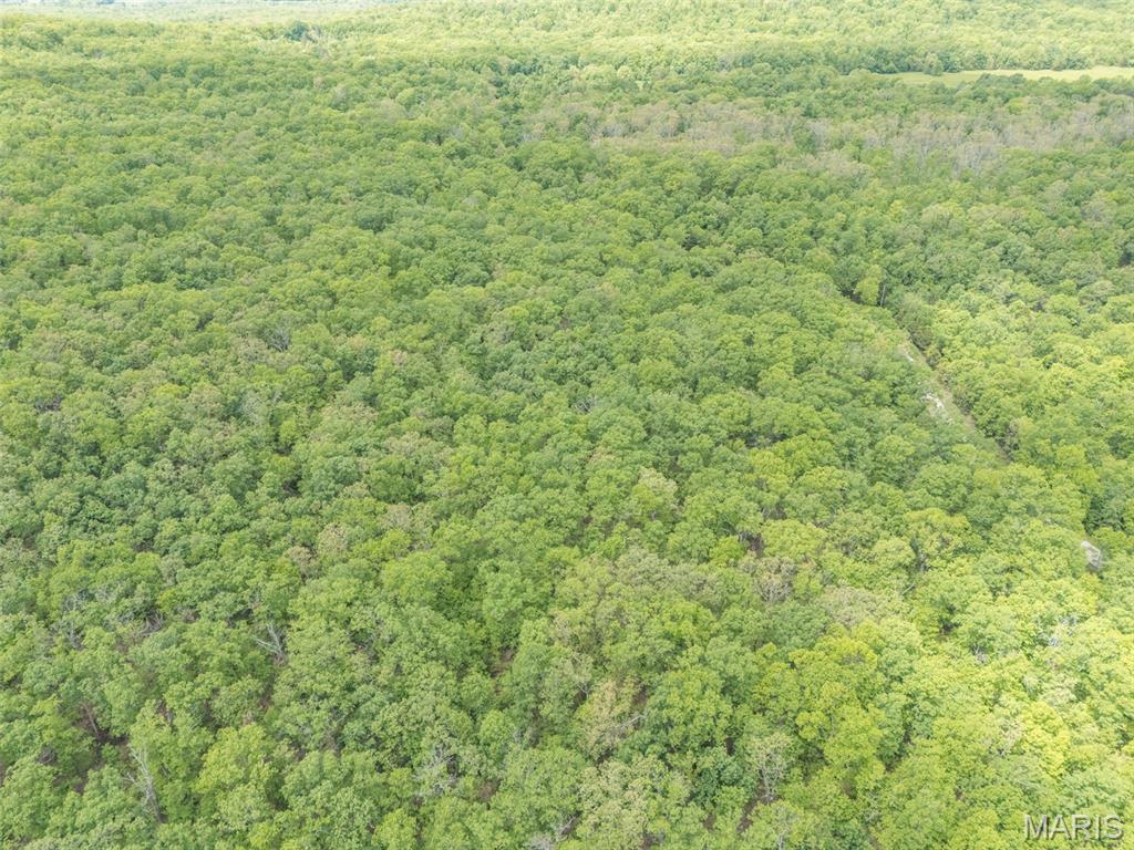 1 Buck Mountain Road Doe Run, MO 63637 - Photo 14 of 27