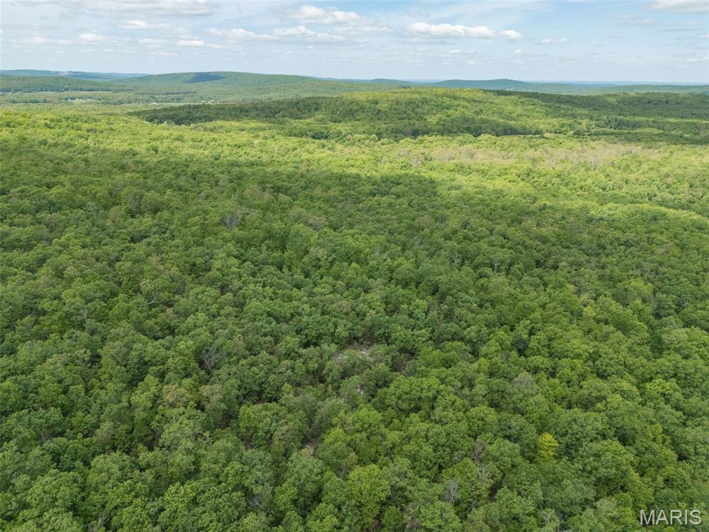 1 Buck Mountain Road Doe Run, MO 63637 - Photo 15 of 27