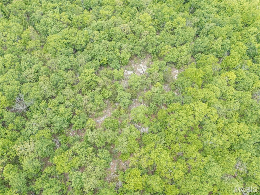 1 Buck Mountain Road Doe Run, MO 63637 - Photo 16 of 27