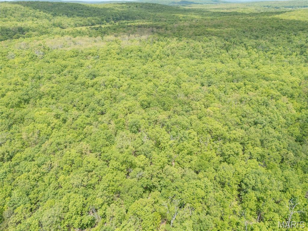 1 Buck Mountain Road Doe Run, MO 63637 - Photo 17 of 27