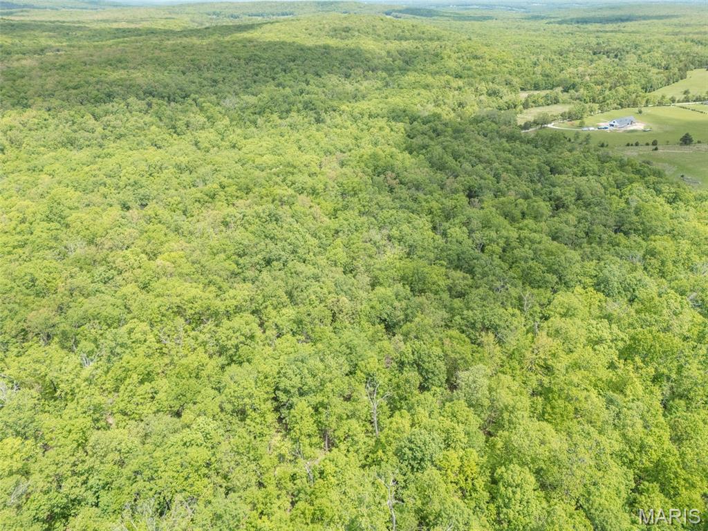 1 Buck Mountain Road Doe Run, MO 63637 - Photo 18 of 27