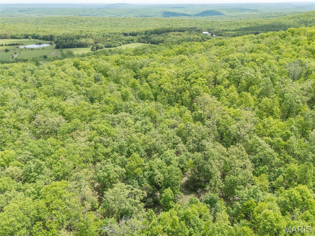 1 Buck Mountain Road Doe Run, MO 63637 - Photo 19 of 27