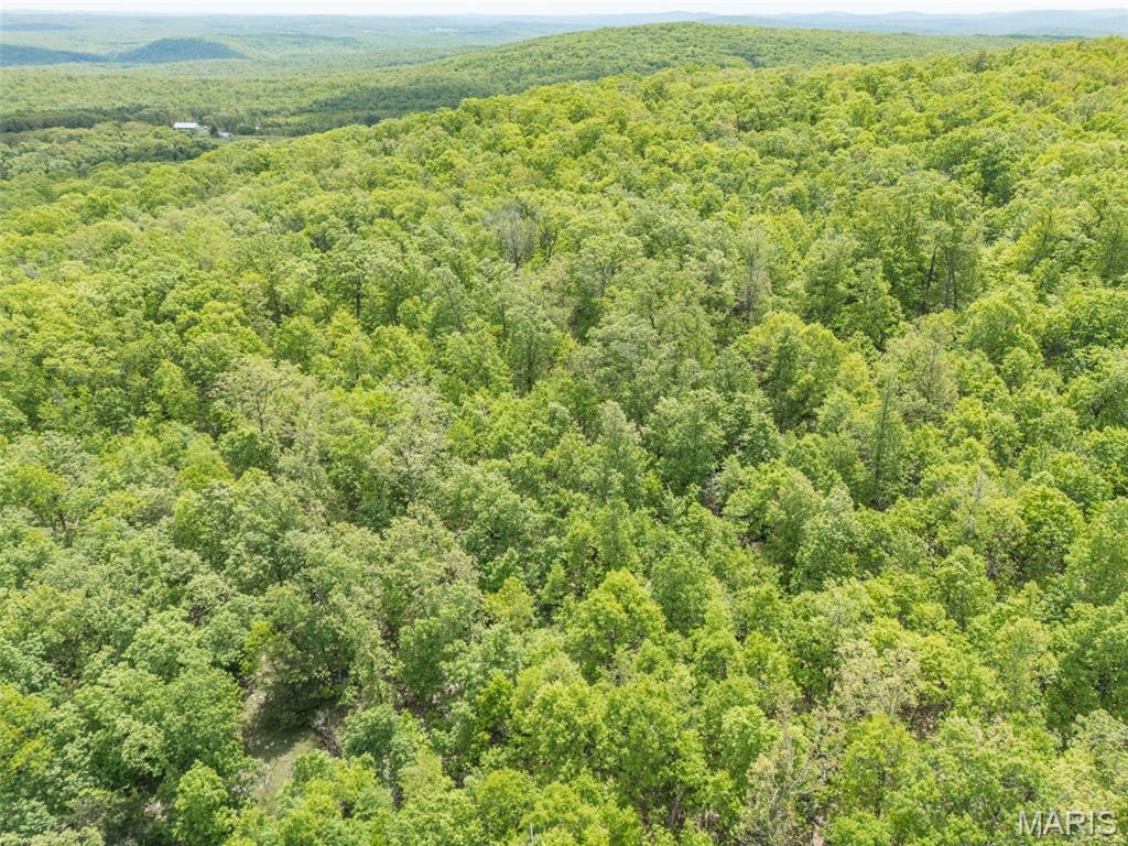 1 Buck Mountain Road Doe Run, MO 63637 - Photo 20 of 27