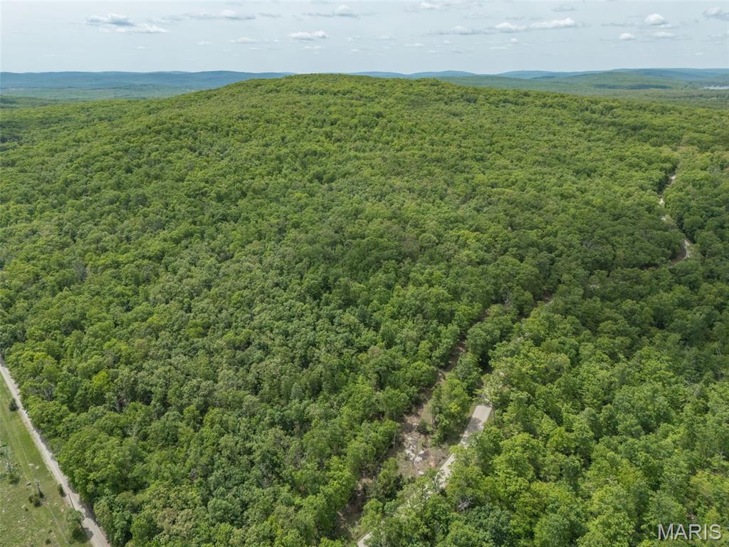 1 Buck Mountain Road Doe Run, MO 63637 - Photo 2 of 27