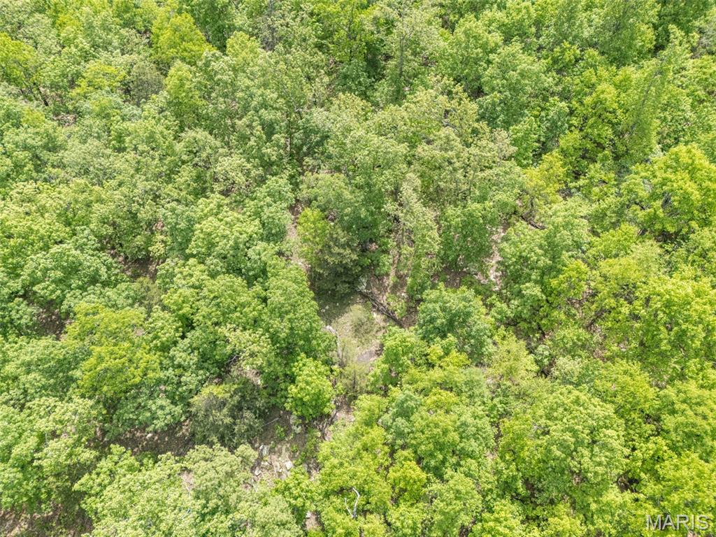 1 Buck Mountain Road Doe Run, MO 63637 - Photo 21 of 27