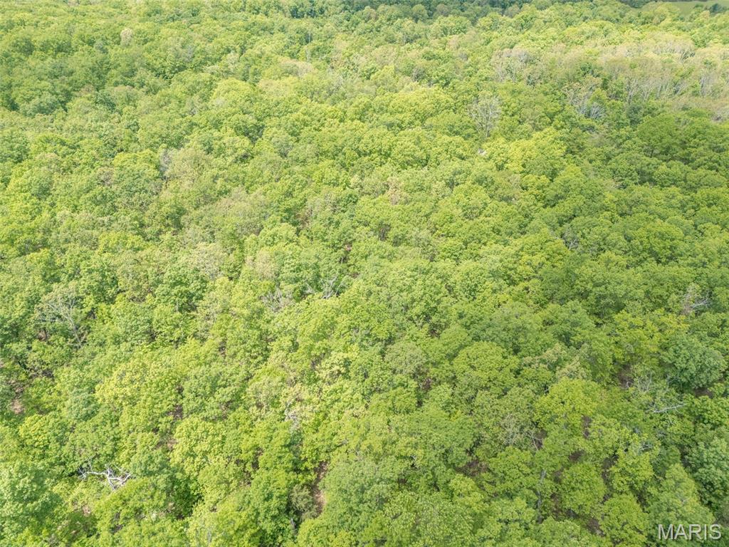1 Buck Mountain Road Doe Run, MO 63637 - Photo 22 of 27