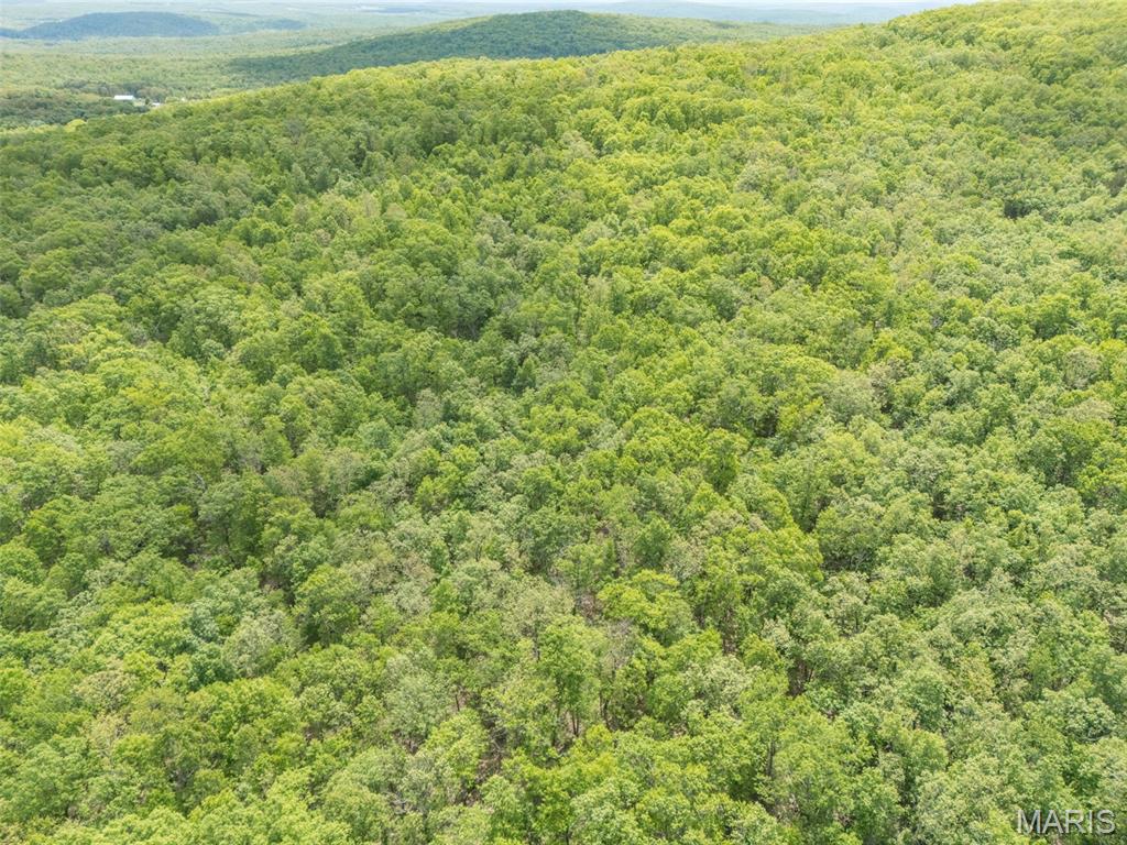 1 Buck Mountain Road Doe Run, MO 63637 - Photo 23 of 27
