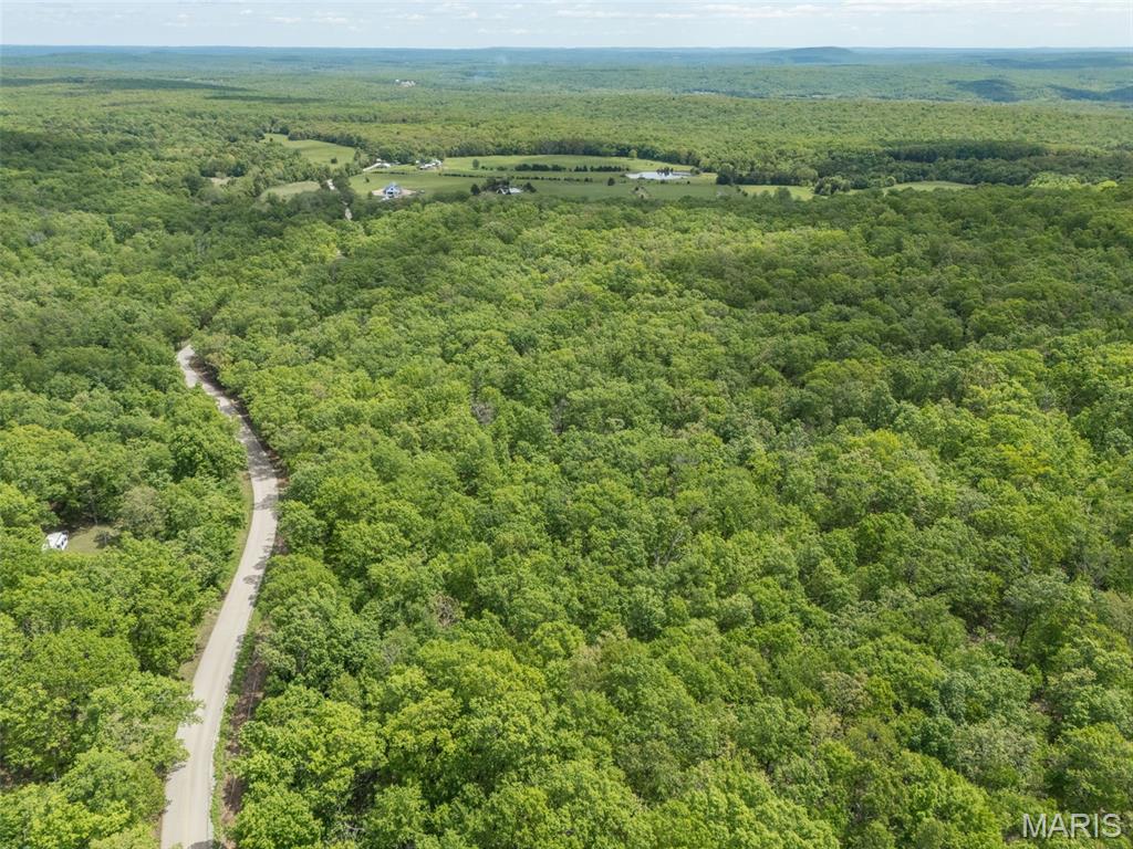 1 Buck Mountain Road Doe Run, MO 63637 - Photo 24 of 27