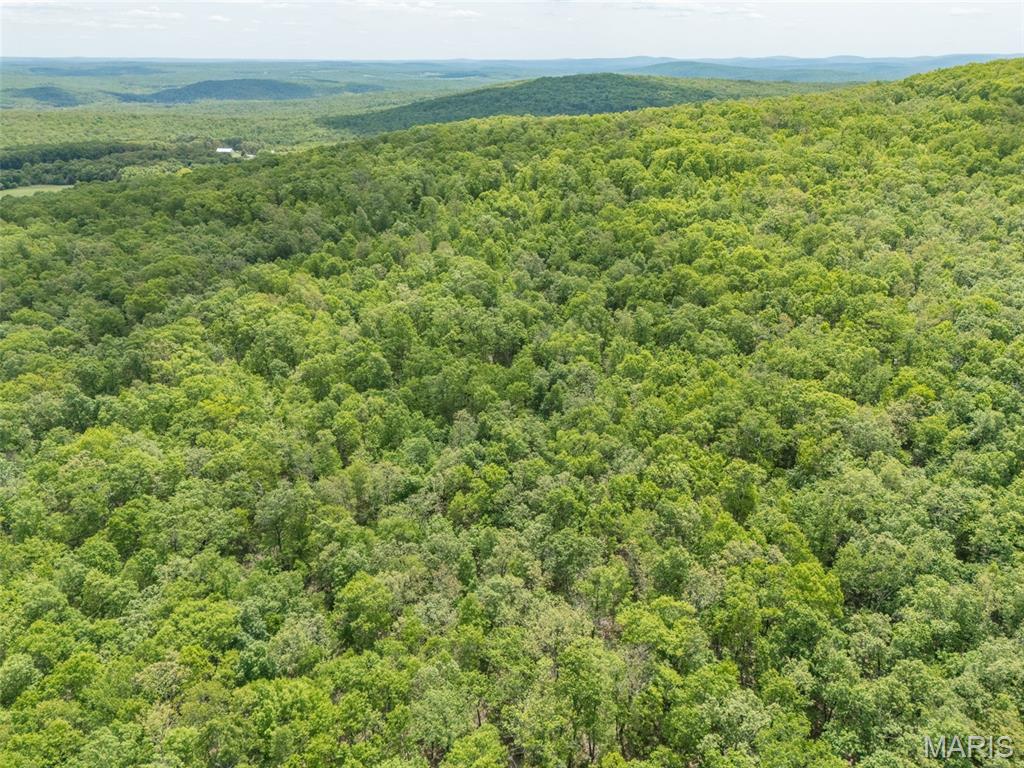 1 Buck Mountain Road Doe Run, MO 63637 - Photo 25 of 27