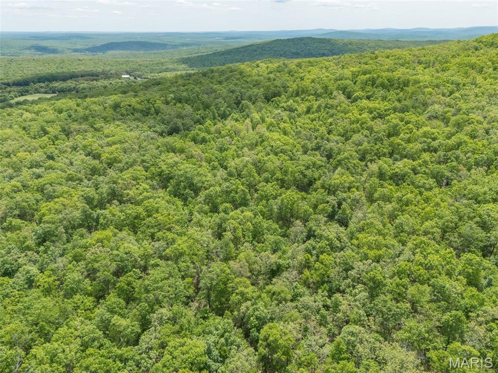 1 Buck Mountain Road Doe Run, MO 63637 - Photo 27 of 27