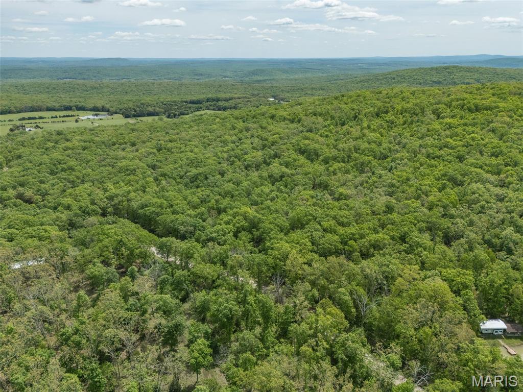 1 Buck Mountain Road Doe Run, MO 63637 - Photo 4 of 27