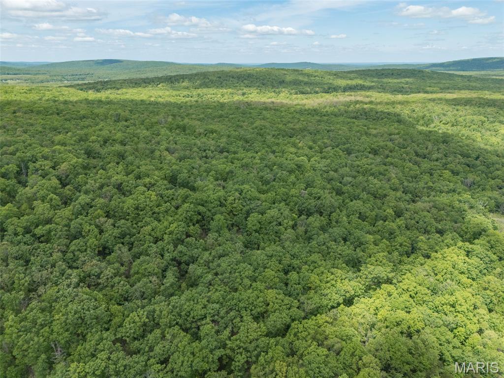 1 Buck Mountain Road Doe Run, MO 63637 - Photo 6 of 27