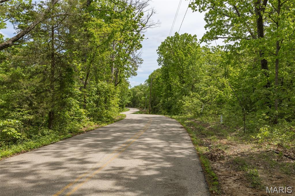1 Buck Mountain Road Doe Run, MO 63637 - Photo 7 of 27