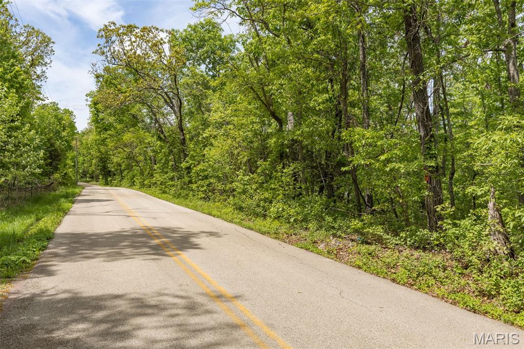 1 Buck Mountain Road Doe Run, MO 63637 - Photo 8 of 27