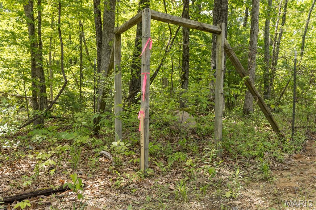 1 Buck Mountain Road Doe Run, MO 63637 - Photo 9 of 27