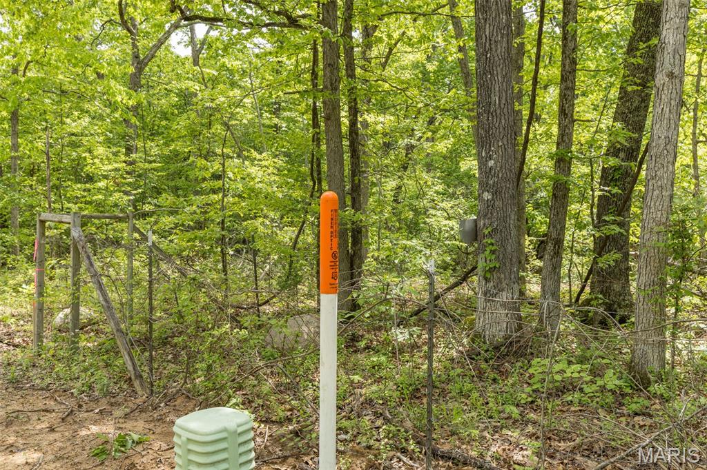1 Buck Mountain Road Doe Run, MO 63637 - Photo 10 of 27