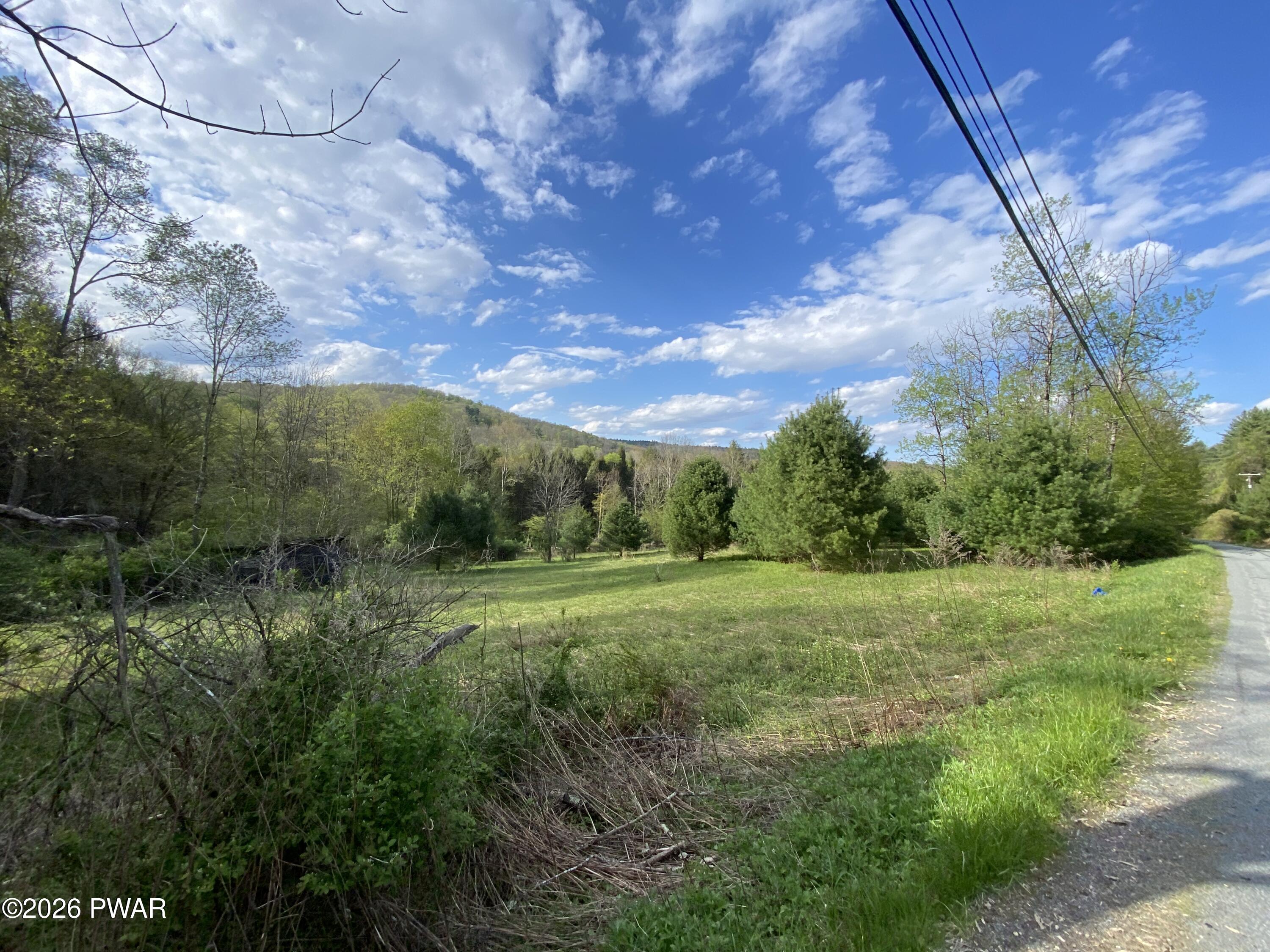 0 John Davis Road Beach Lake, PA 18405 - Photo 10 of 22
