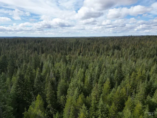 $100,000 | Tbd Lot #9 Tbd Lane, Weippe, ID 83553