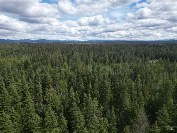 $100,000 | Tbd Lot #9 Tbd Lane, Weippe, ID 83553