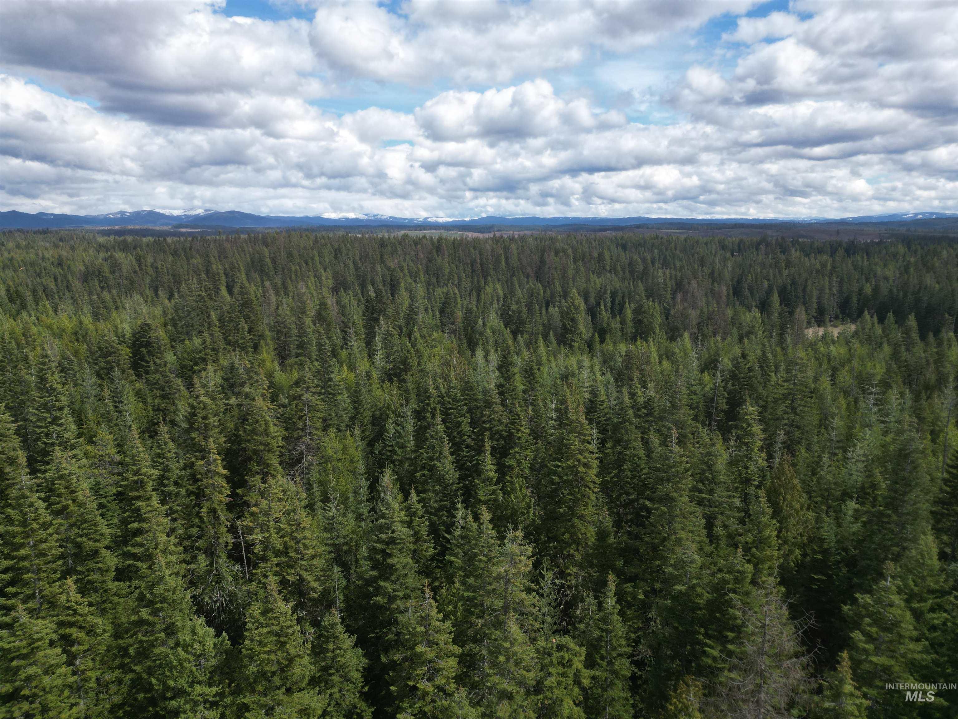 Tbd Lot #9 Tbd Lane Weippe, ID 83553 - Photo 13 of 29