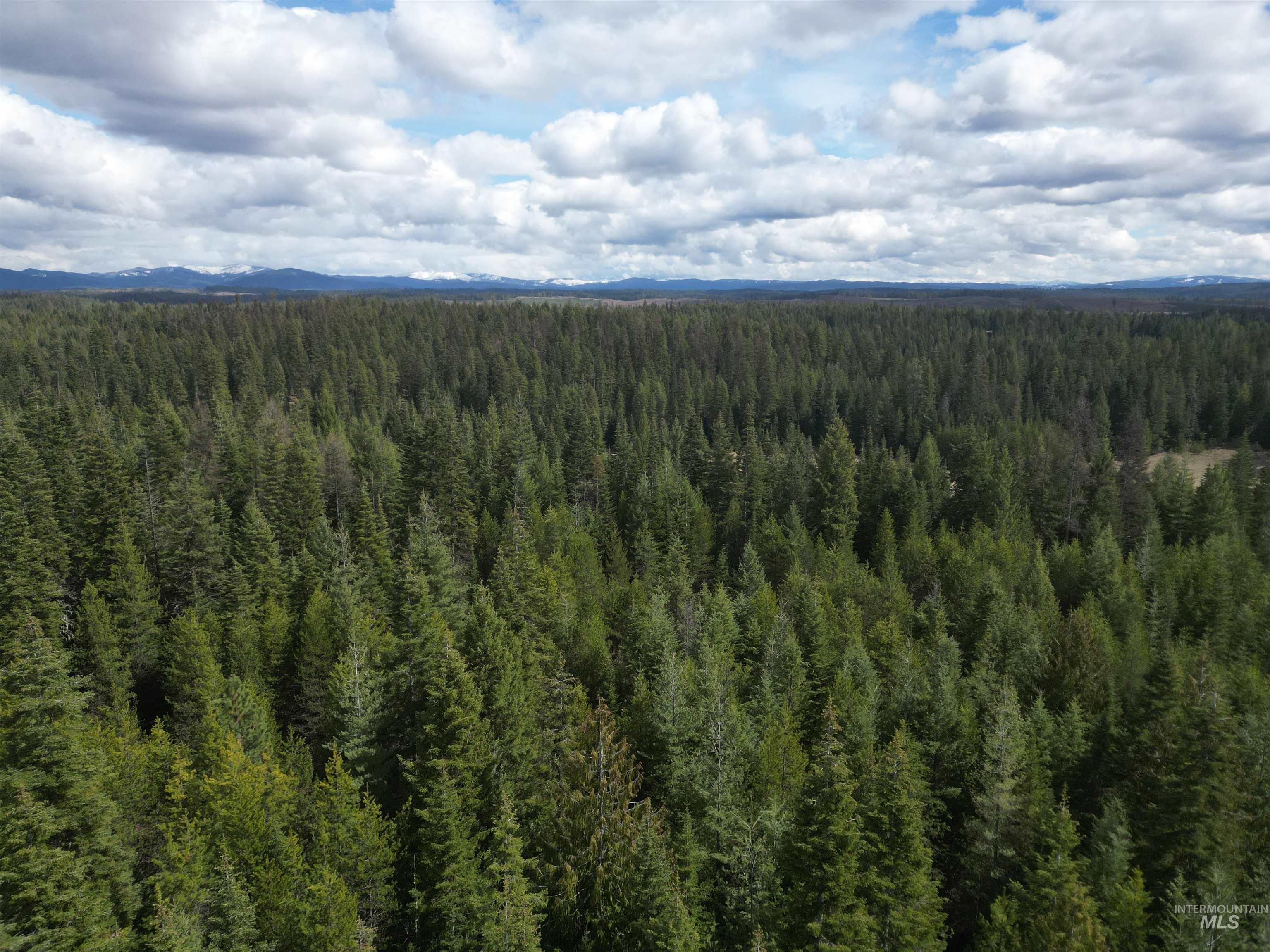Tbd Lot #9 Tbd Lane Weippe, ID 83553 - Photo 14 of 29