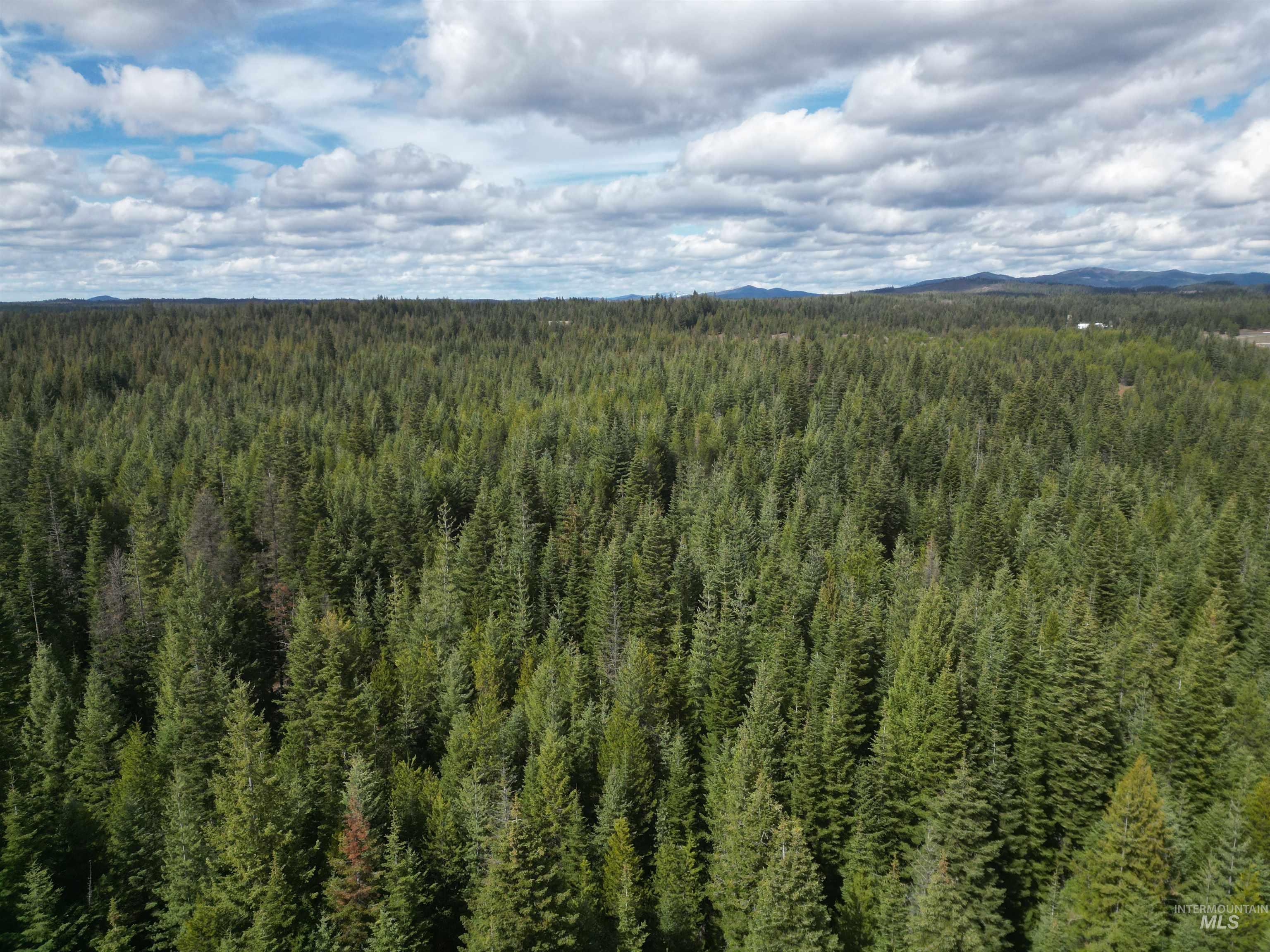 Tbd Lot #9 Tbd Lane Weippe, ID 83553 - Photo 15 of 29