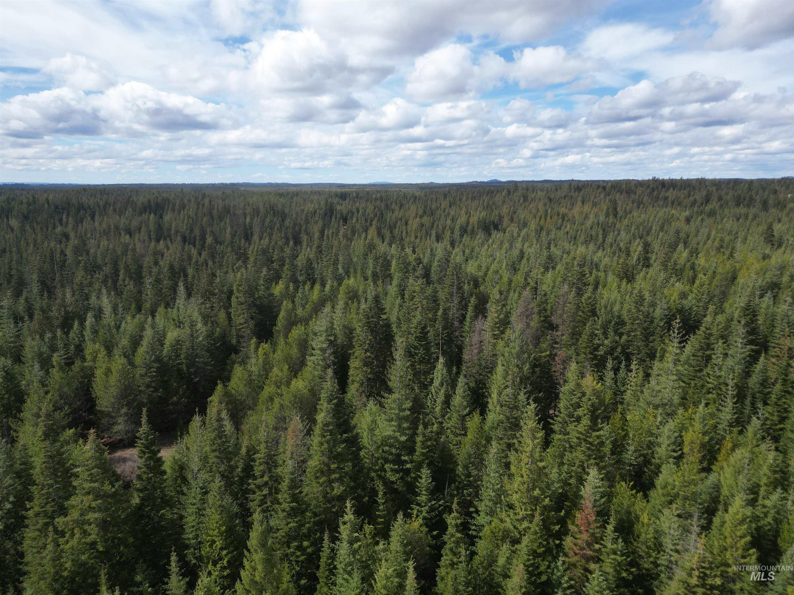 Tbd Lot #9 Tbd Lane Weippe, ID 83553 - Photo 16 of 29