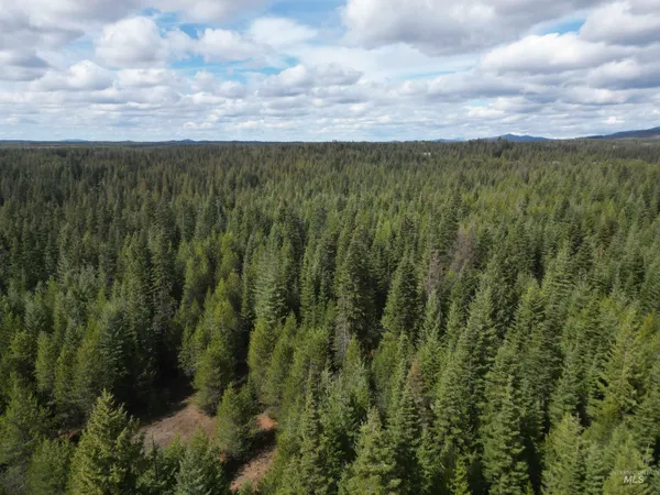 $100,000 | Tbd Lot #9 Tbd Lane, Weippe, ID 83553