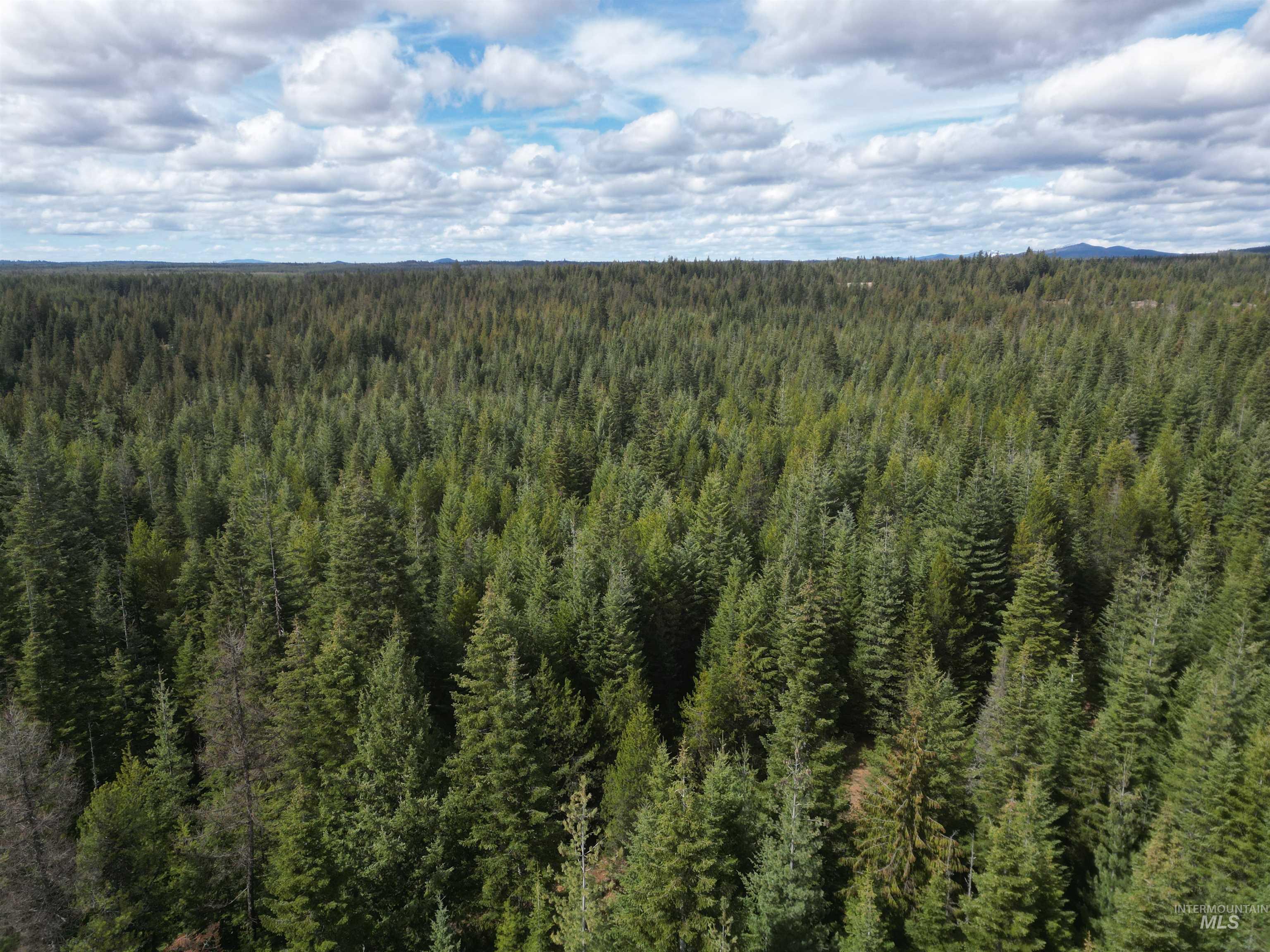 Tbd Lot #9 Tbd Lane Weippe, ID 83553 - Photo 19 of 29