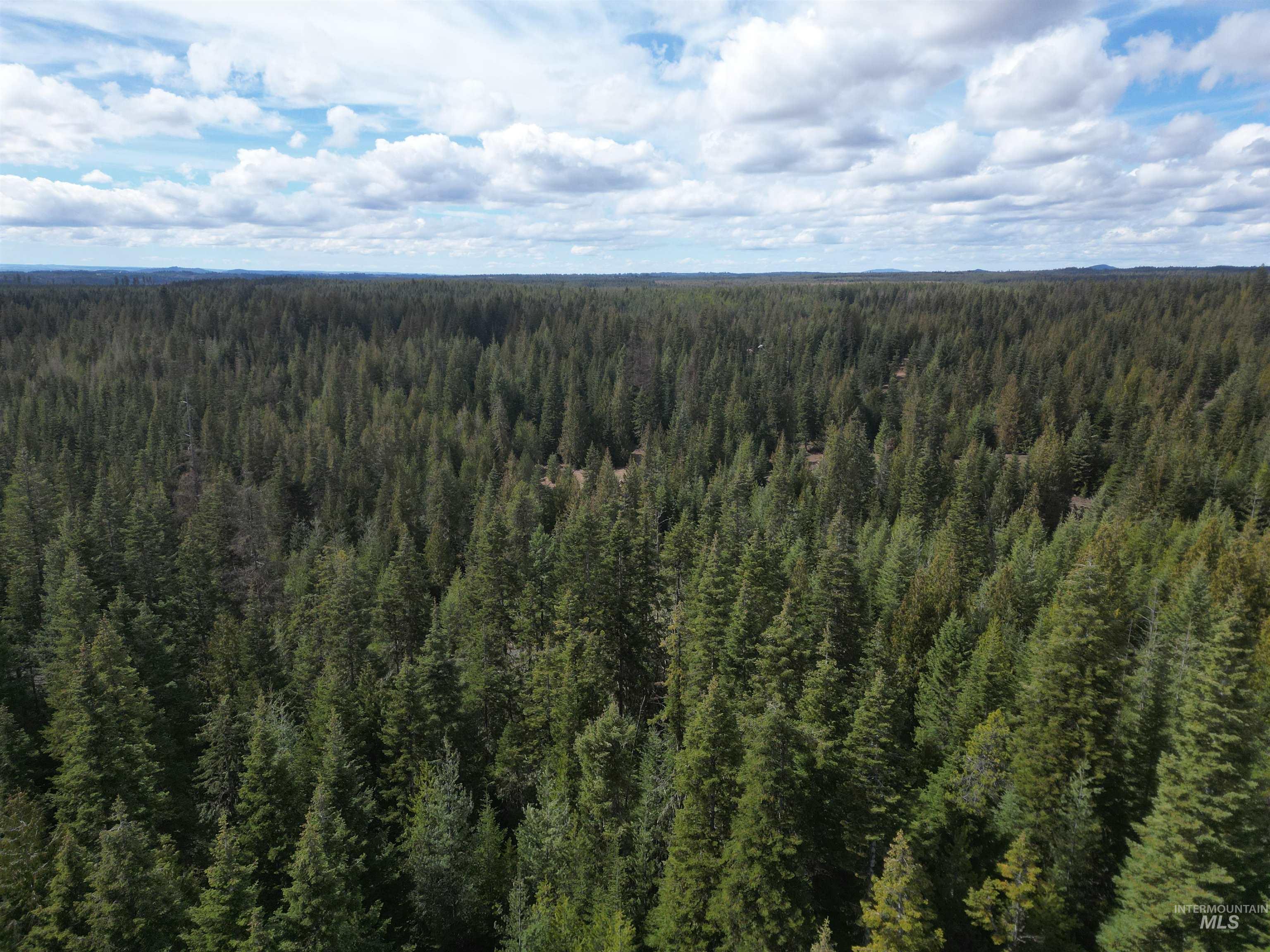 Tbd Lot #9 Tbd Lane Weippe, ID 83553 - Photo 20 of 29