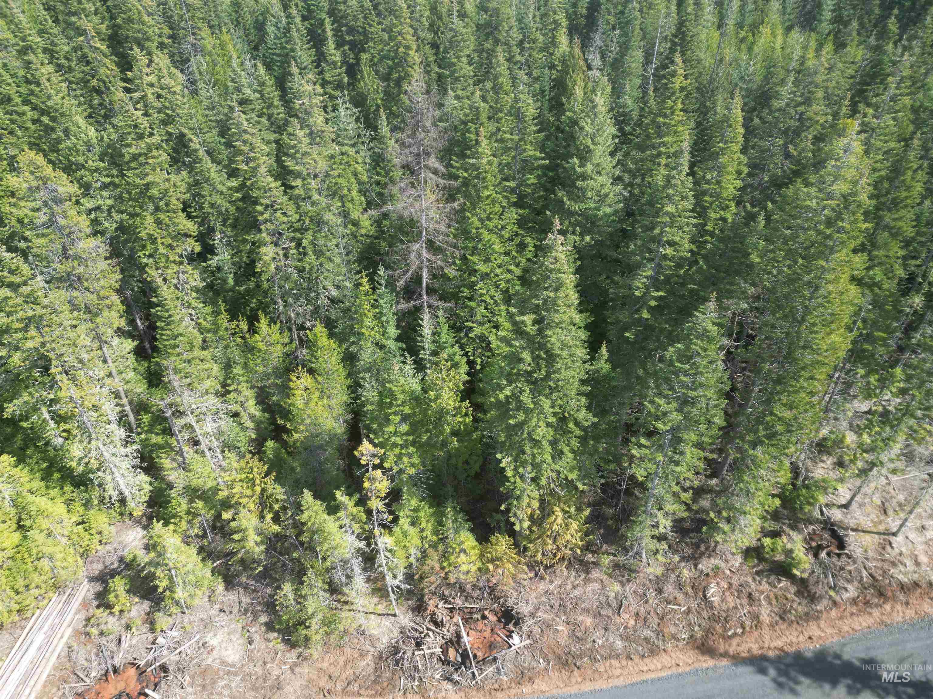 Tbd Lot #9 Tbd Lane Weippe, ID 83553 - Photo 21 of 29