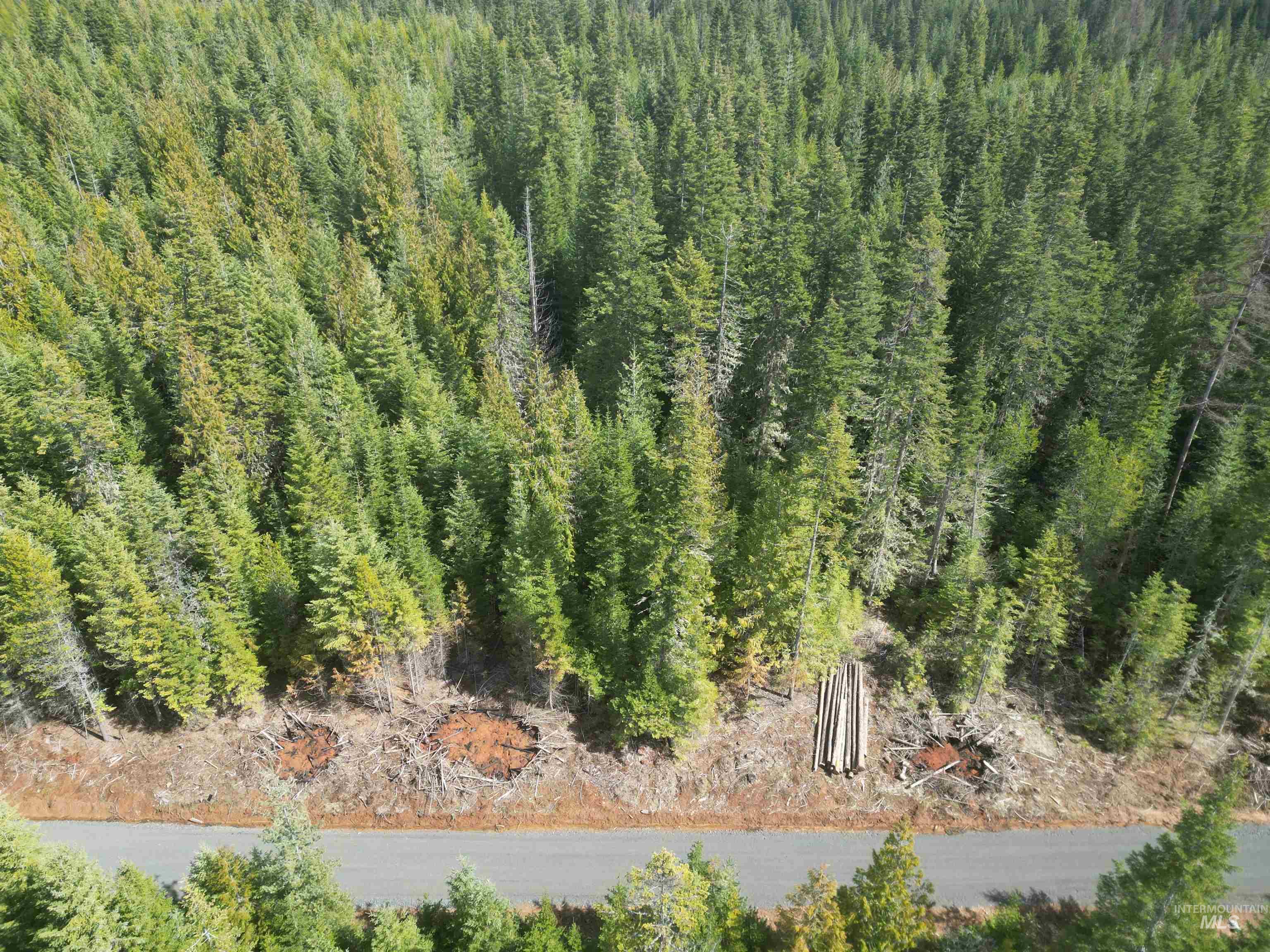 Tbd Lot #9 Tbd Lane Weippe, ID 83553 - Photo 22 of 29